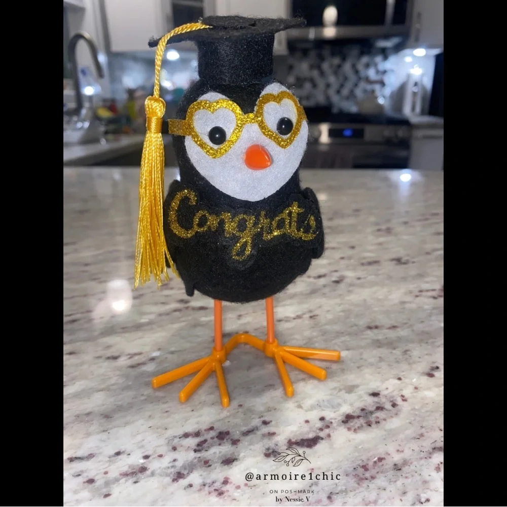 GRADUATION | Festive Congrats Bird Decor with Glitter Glasses and Grad Cap